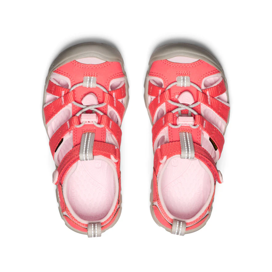 Seacamp II CNX Sandale für kleine Kids | Dubarry/Giggle Pink - Image 4