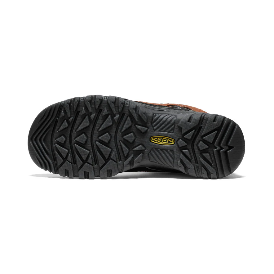 Targhee IV Wasserdichte Wanderstiefel für Herren | Bison/Black - Image 6