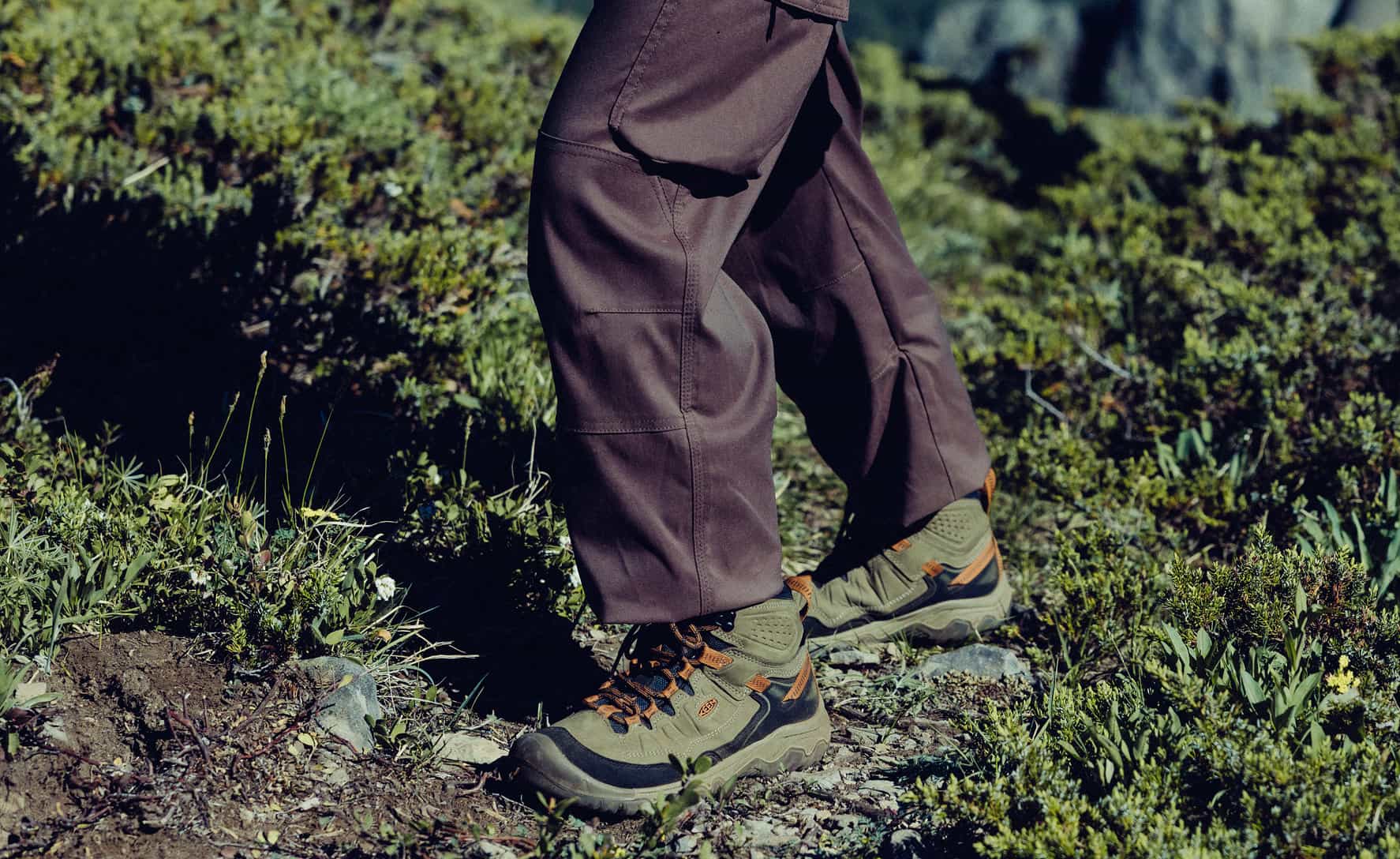 Targhee IV Wasserdichte Wanderstiefel für Herren | Sea Turtle/Roasted Pecan - Image 7