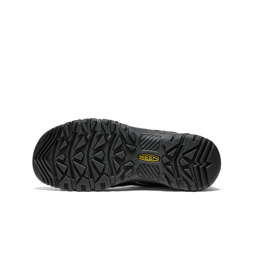 Targhee IV Wasserdichte Wanderschuhe für Herren | Bison/Black - Image 6