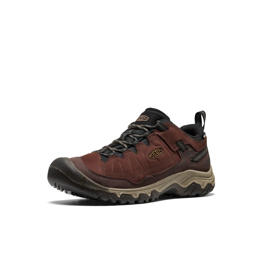 Targhee IV Wasserdichte Wanderschuhe für Herren | Java/Bison - Image 3