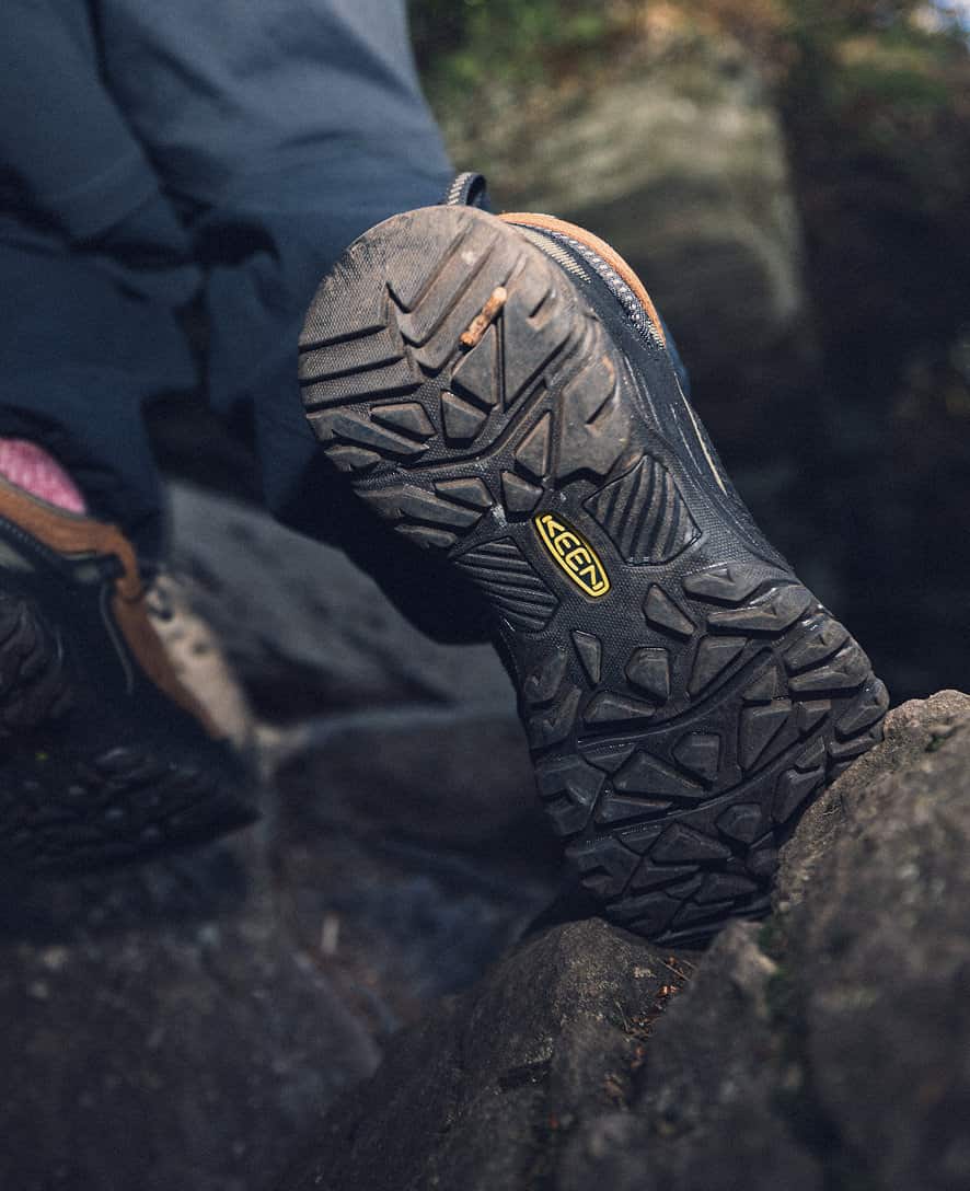 Targhee IV Wasserdichte Wanderschuhe für Herren | Java/Bison - Image 8
