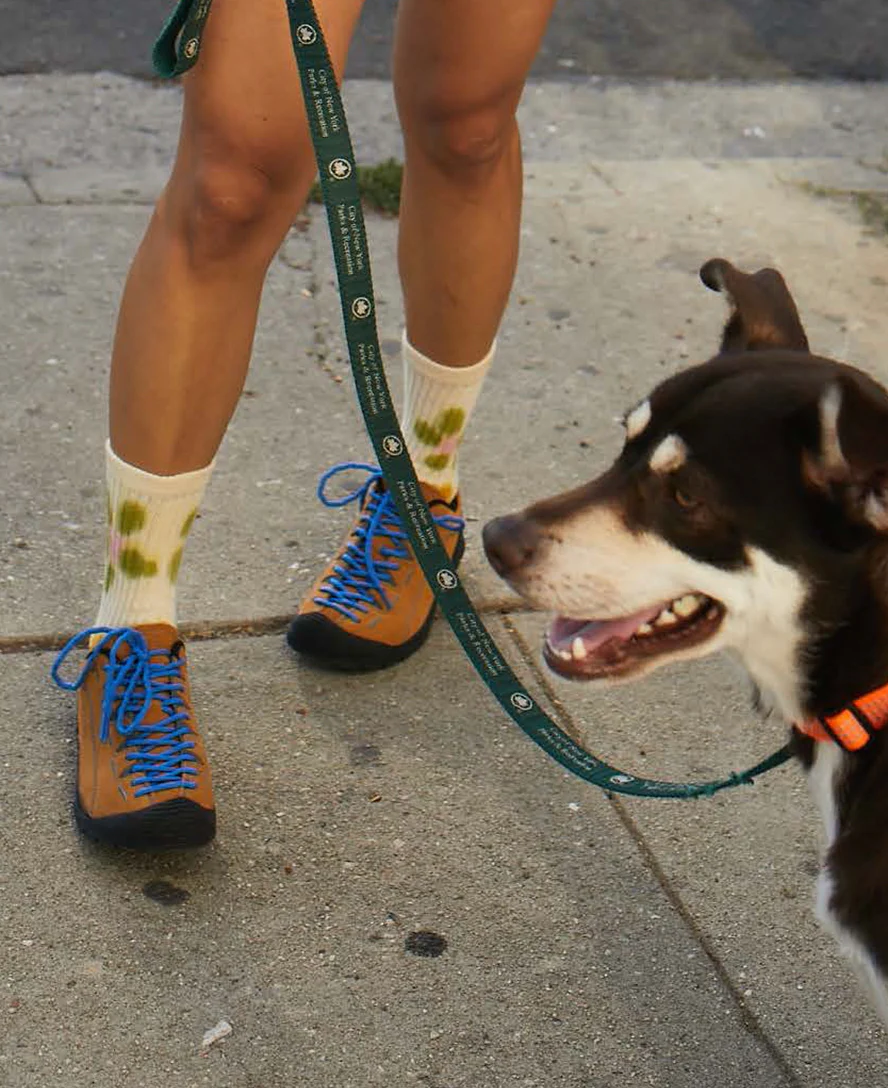 Jasper Sneaker für Damen | Cathay Spice/Orion Blue - Image 8
